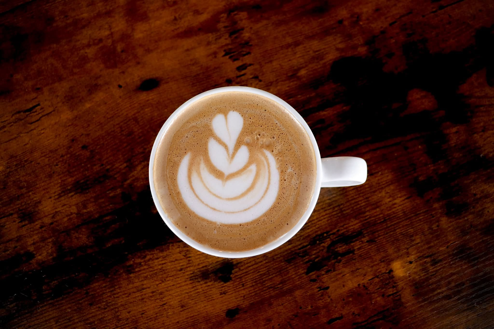 Latte with tulip art in a white mug on dark wood